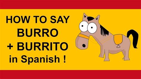 burro spanish to english